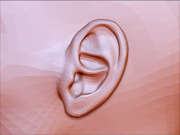 3d womans head model - Female Head by s7u4r7ll